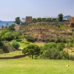 WhatsApp Image 2023-08-02 at 13.23.54 (4)